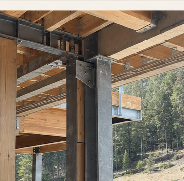 Steel columns and timber framing joined mid-construction with forest beyond